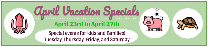 A banner with a picture of a squid, a pig and spider, and a turtle. The text reads: April Vacation Specials. April 23rd to April 27th. Special events for kids and families! Tuesday, Thursday, Friday, and Saturday.